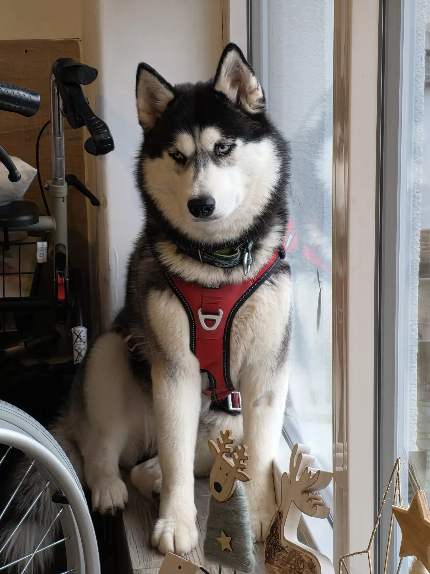 Adventszeit im Seniorenheim Sonnenblick